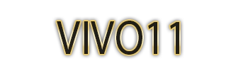 Logo VIVO11